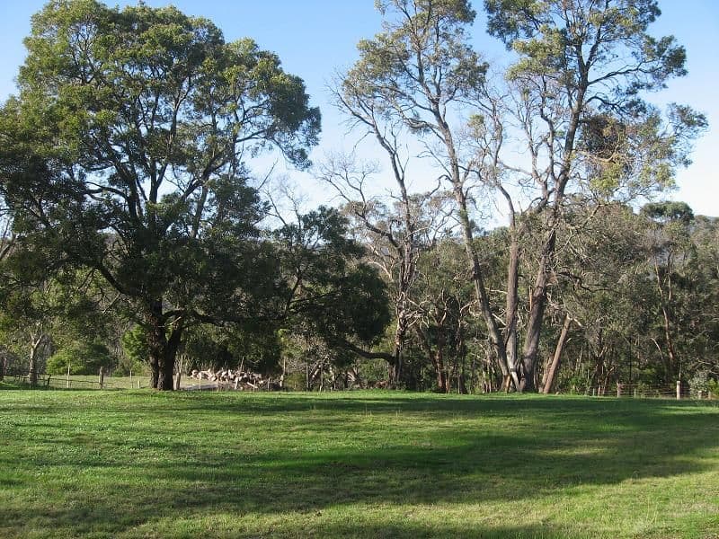 610  Whittlesea Yea Road, HUMEVALE VIC 3757, Humevale - Thumbnail 5