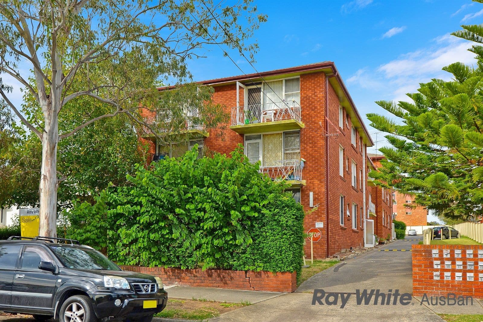 55 Alice Street, Wiley Park NSW 2195, Wiley Park - Image 1