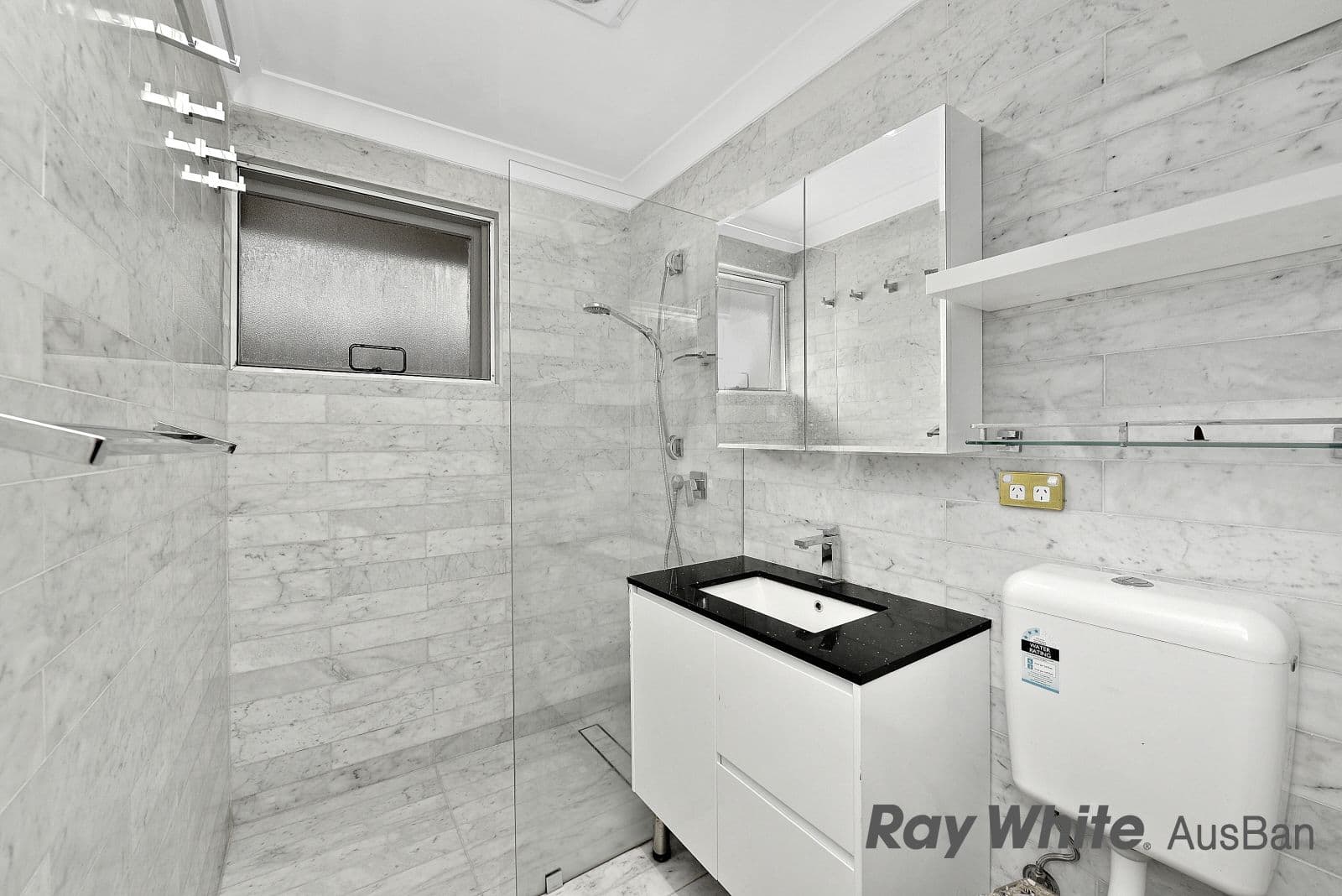 55 Alice Street, Wiley Park NSW 2195, Wiley Park - Thumbnail 4