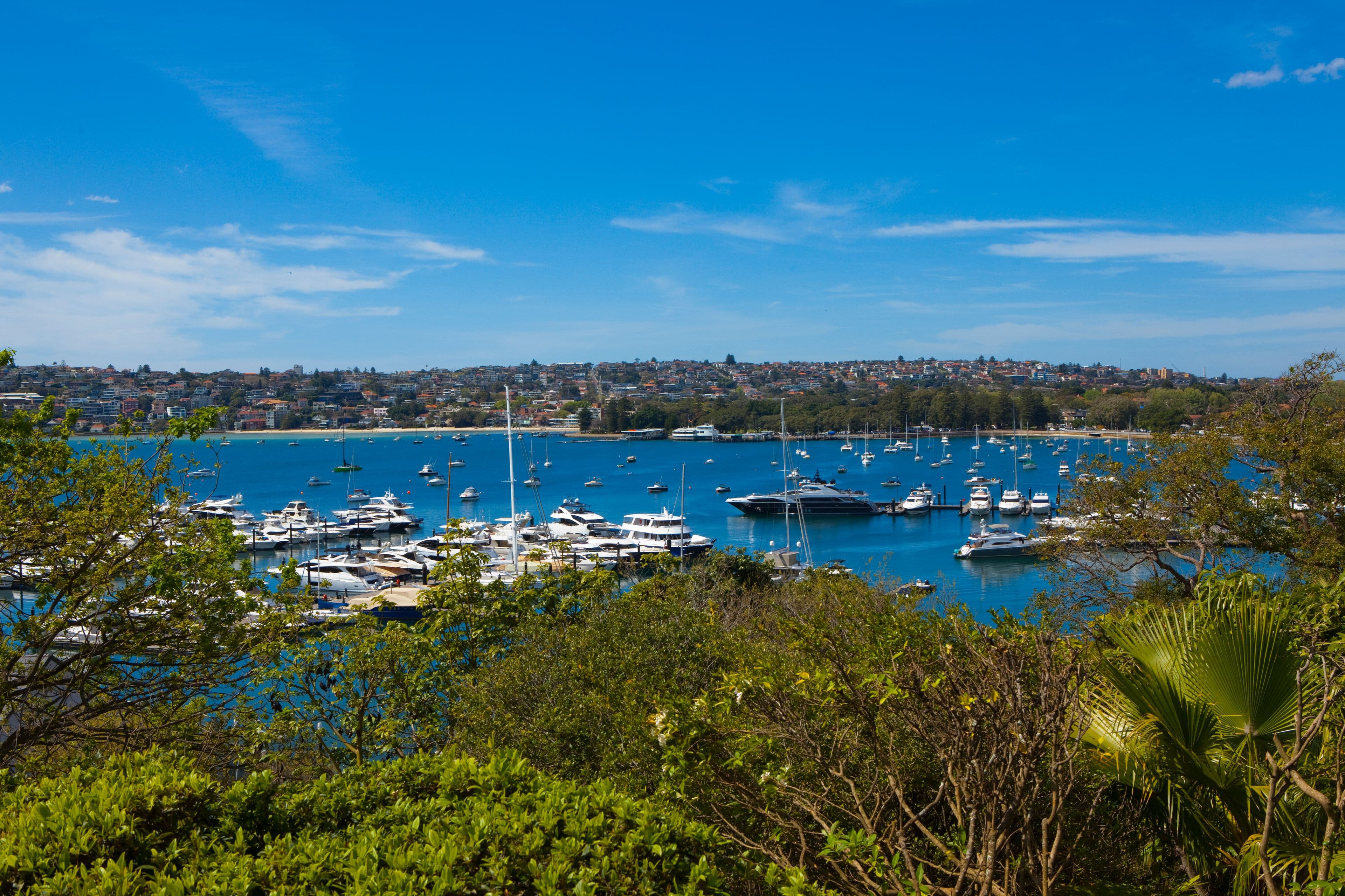 16 Wunulla Road, Point Piper NSW 2027, Point Piper - Thumbnail 4