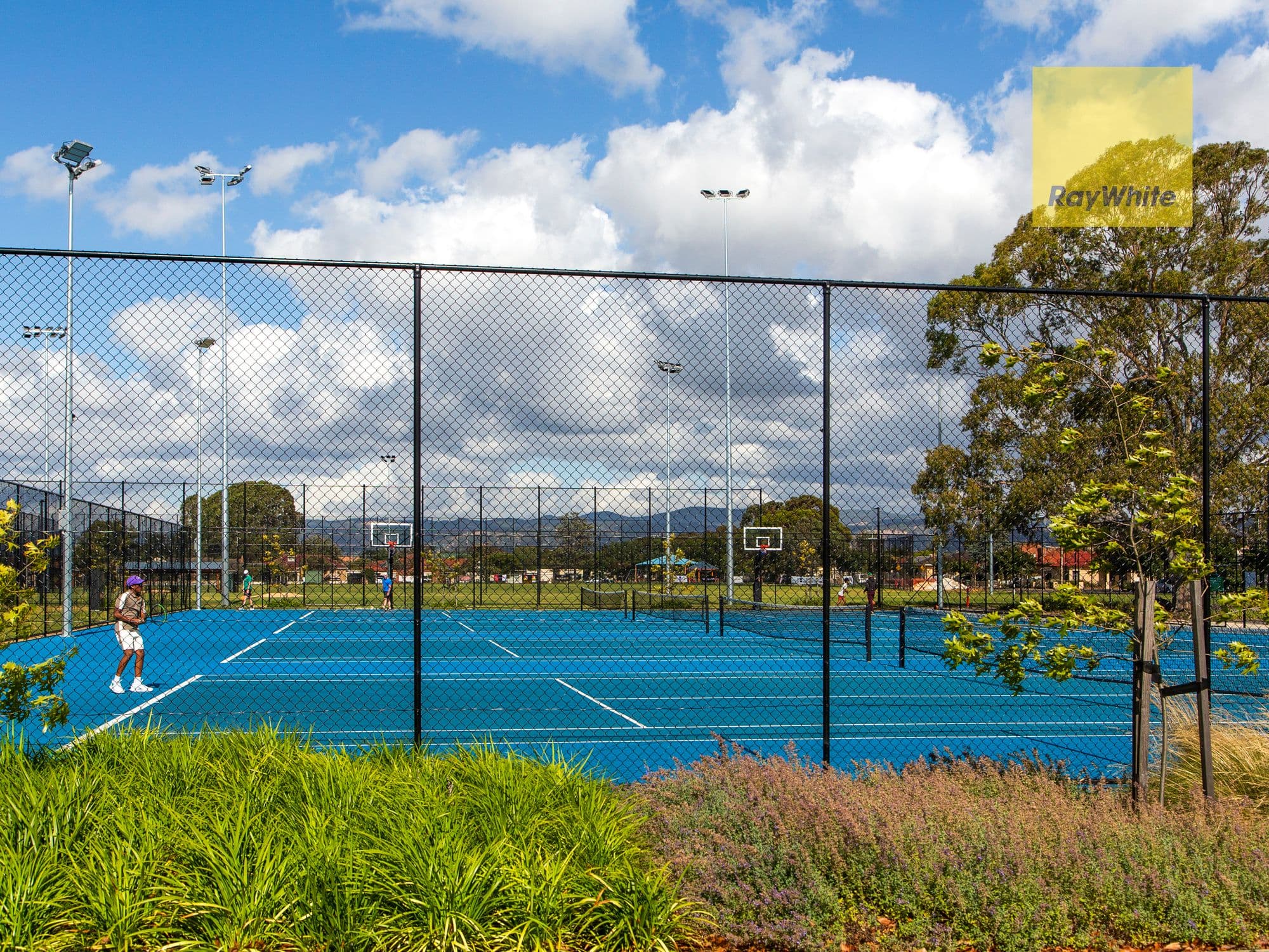 20 Glenburnie Terrace, Plympton SA 5038, Plympton - Thumbnail 5