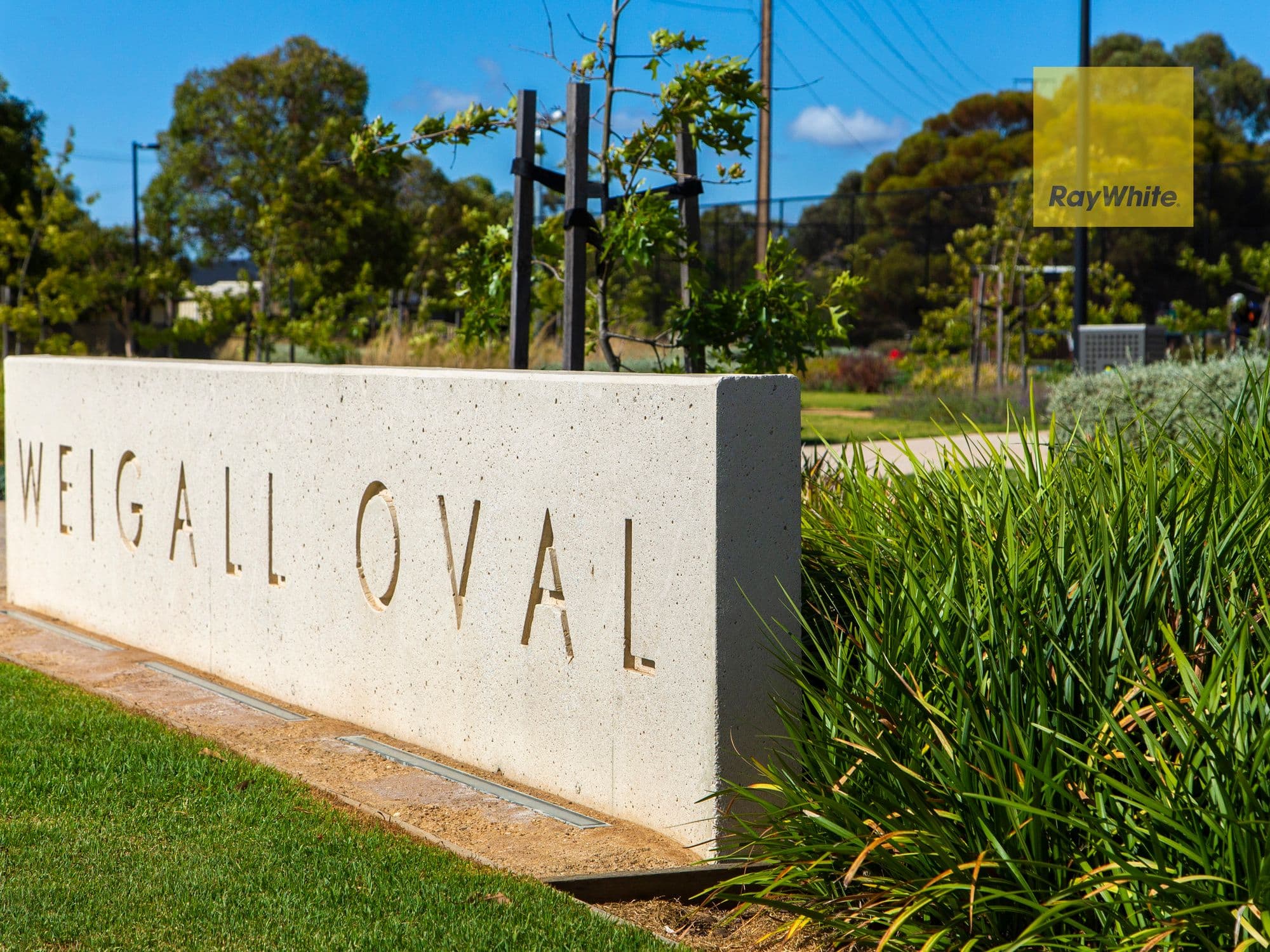 20 Glenburnie Terrace, Plympton SA 5038, Plympton - Thumbnail 6