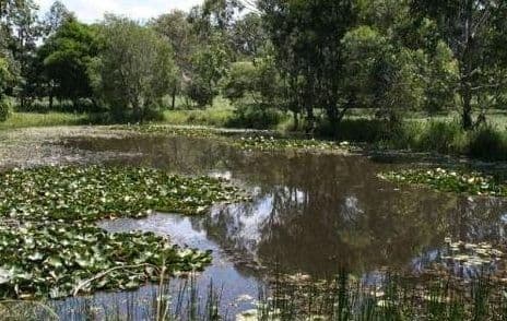 5 - 9 Mango Place, Thornlands QLD 4164, Thornlands - Thumbnail 4