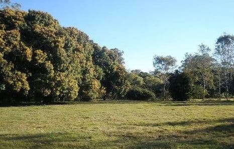 5 - 9 Mango Place, Thornlands QLD 4164, Thornlands - Thumbnail 6