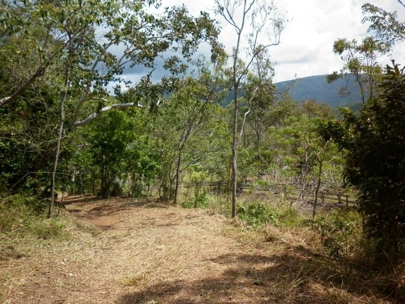 Lot 182 Pringle Road, CANNONVALE QLD 4802, Cannonvale - Thumbnail 3