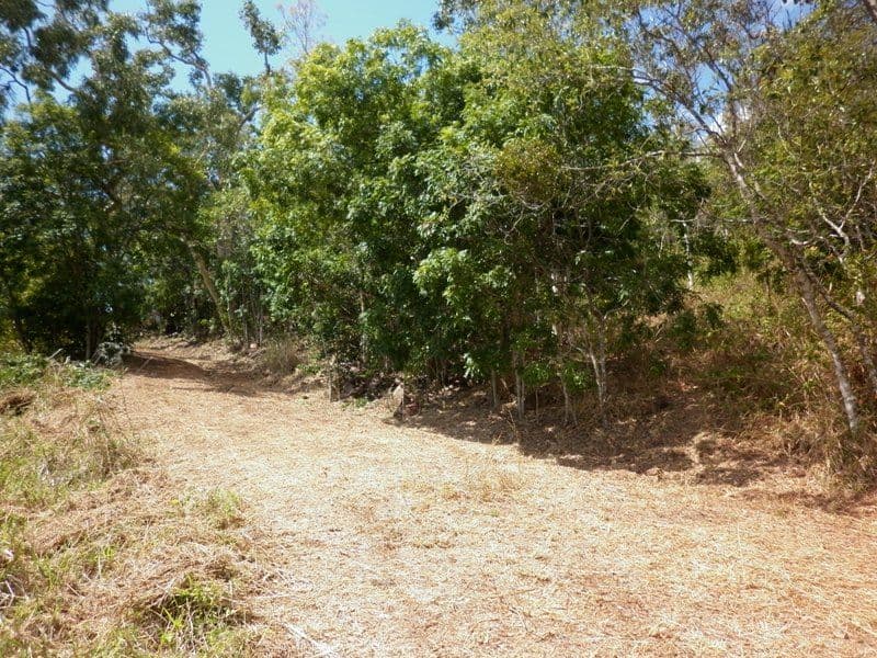 Lot 182 Pringle Road, CANNONVALE QLD 4802, Cannonvale - Thumbnail 4