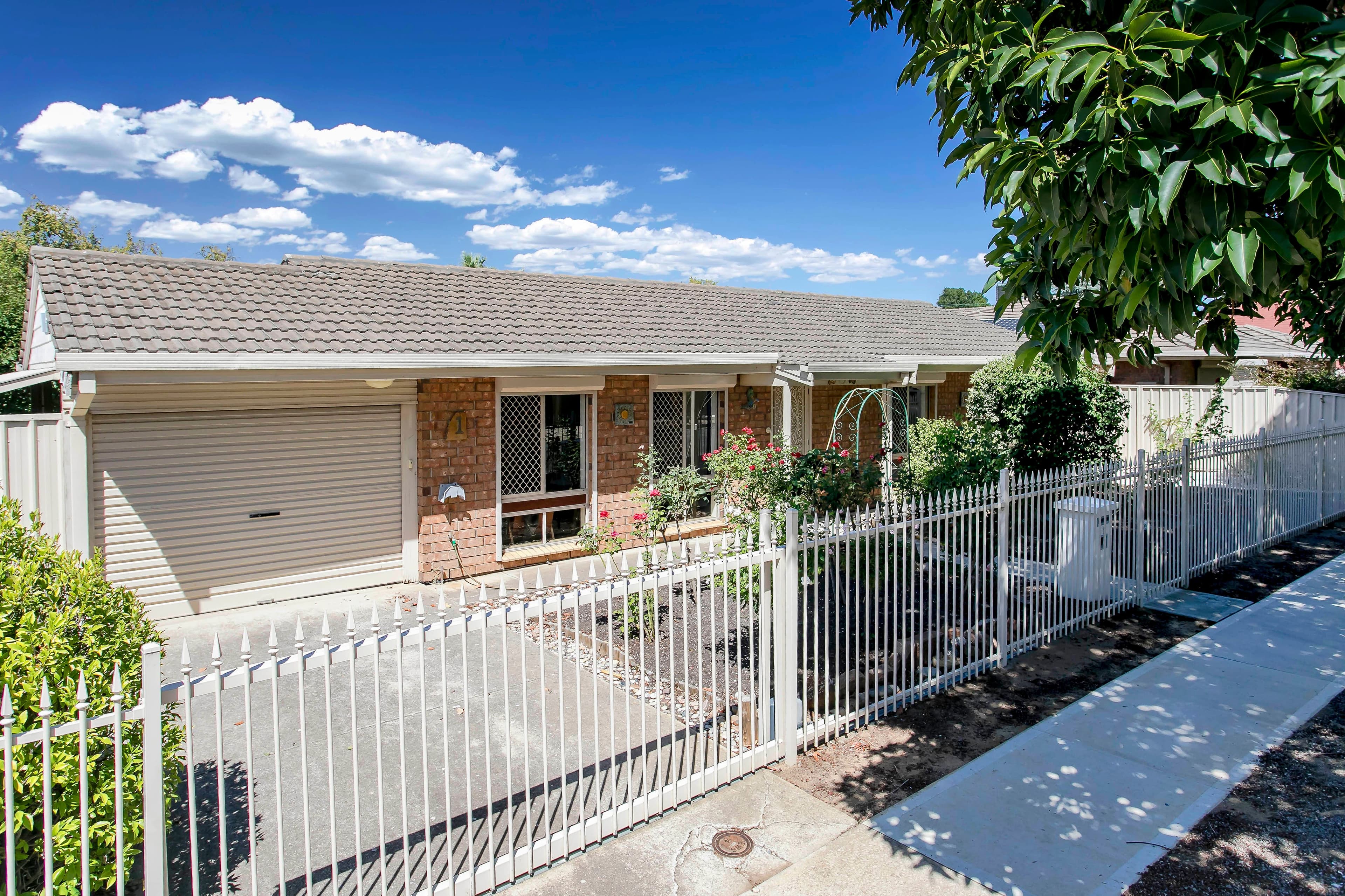 1 Walker Avenue, Clovelly Park SA 5042, Clovelly Park - Thumbnail 2