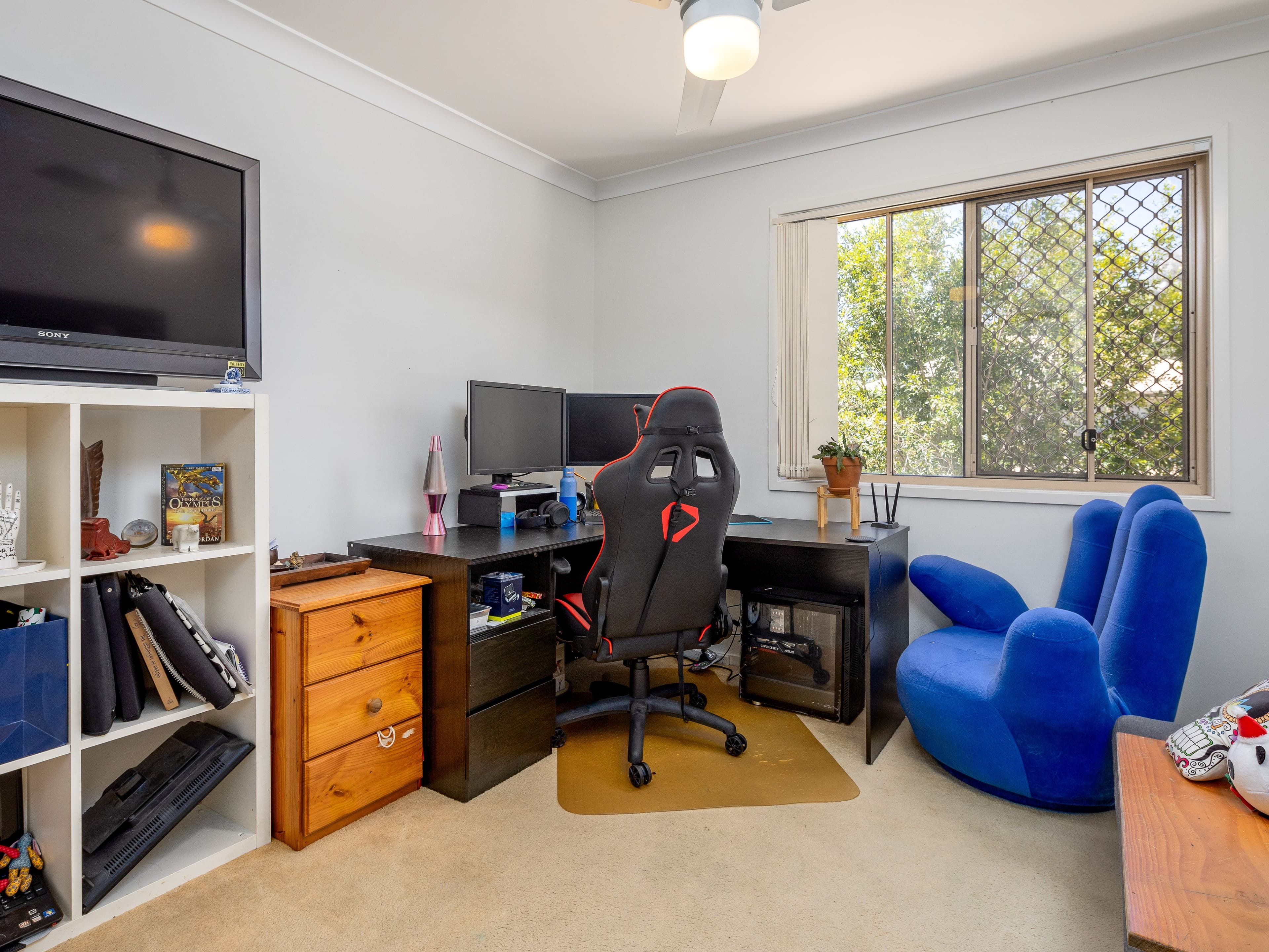 17 Johnson Street, Casino - Thumbnail 7