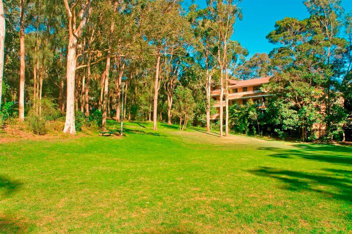 39-41 Helen Street, LANE COVE NSW 2066, Lane Cove North - Thumbnail 5
