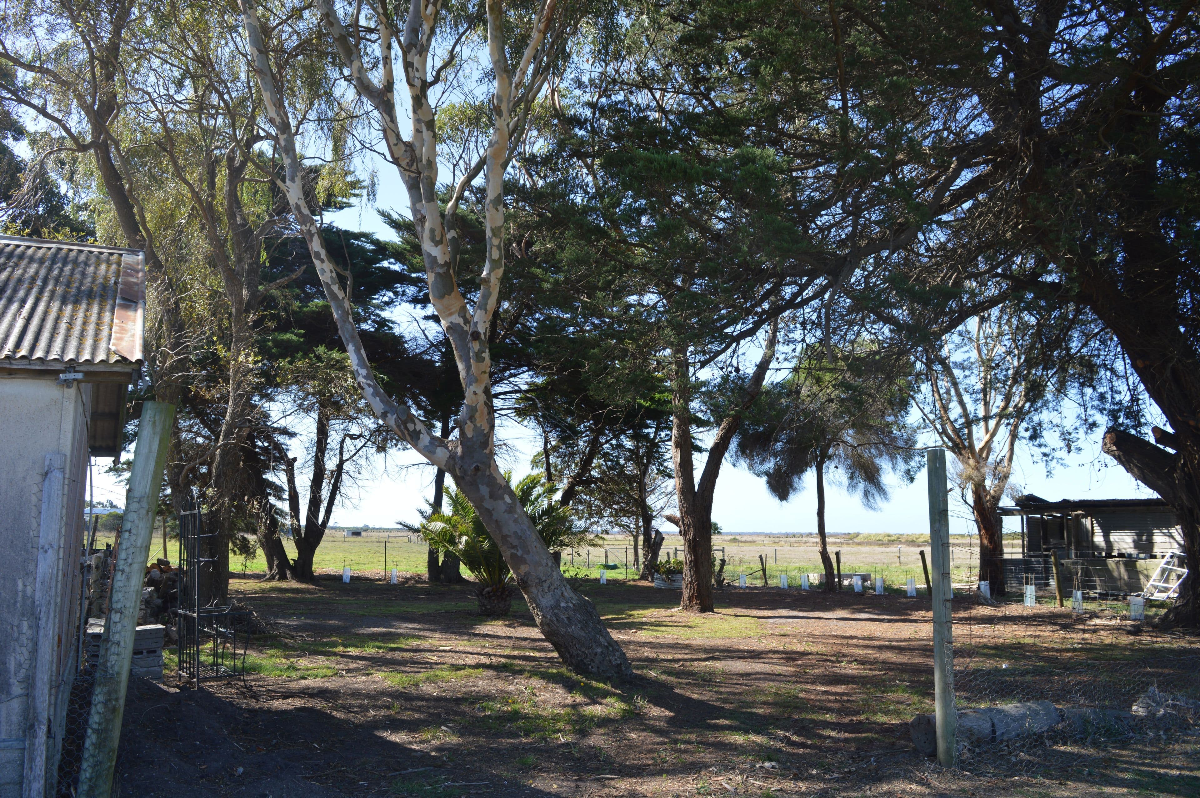 45 Bucklands Road, Toora VIC 3962, Toora - Thumbnail 6