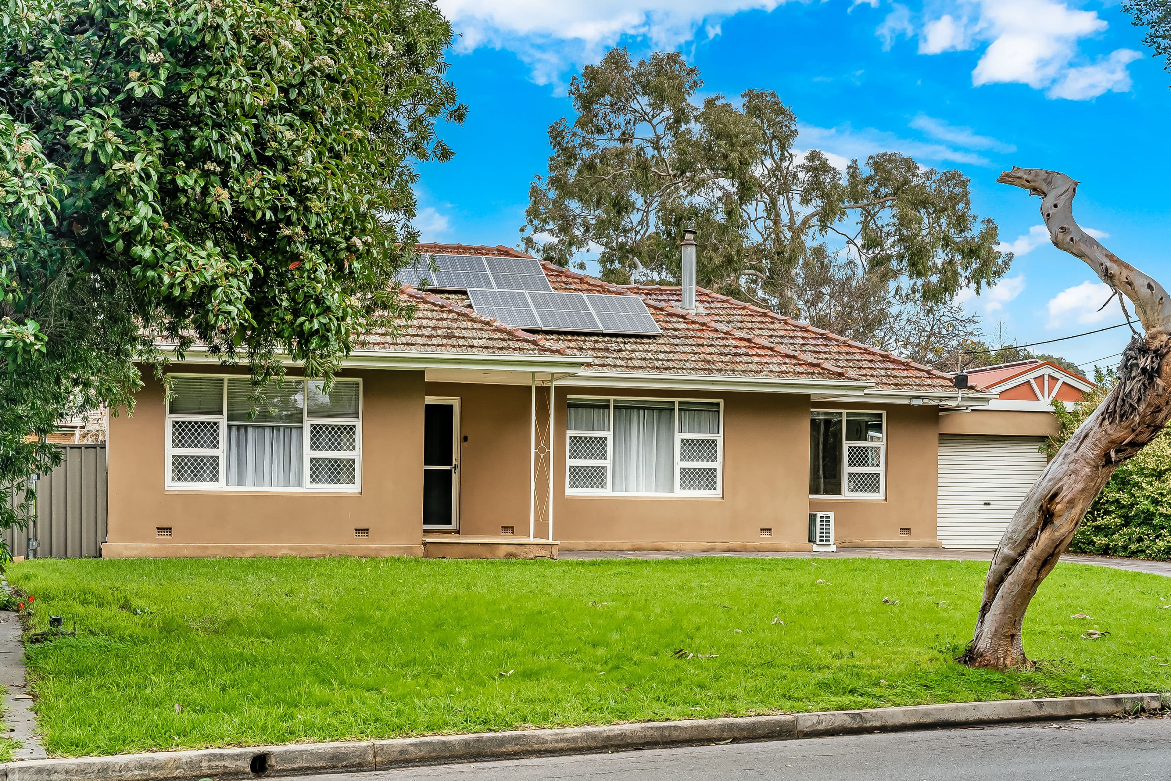 18 Botanic Grove, Campbelltown SA 5074, Campbelltown - Thumbnail 2