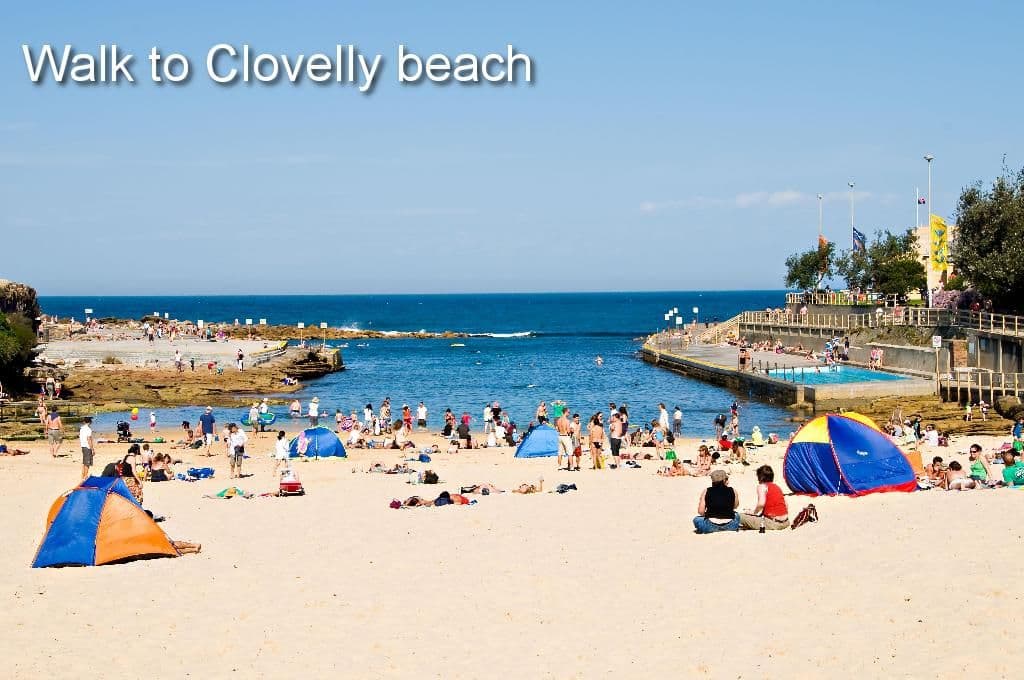 2 Thorpe Street, Clovelly NSW 2031, Clovelly - Thumbnail 7