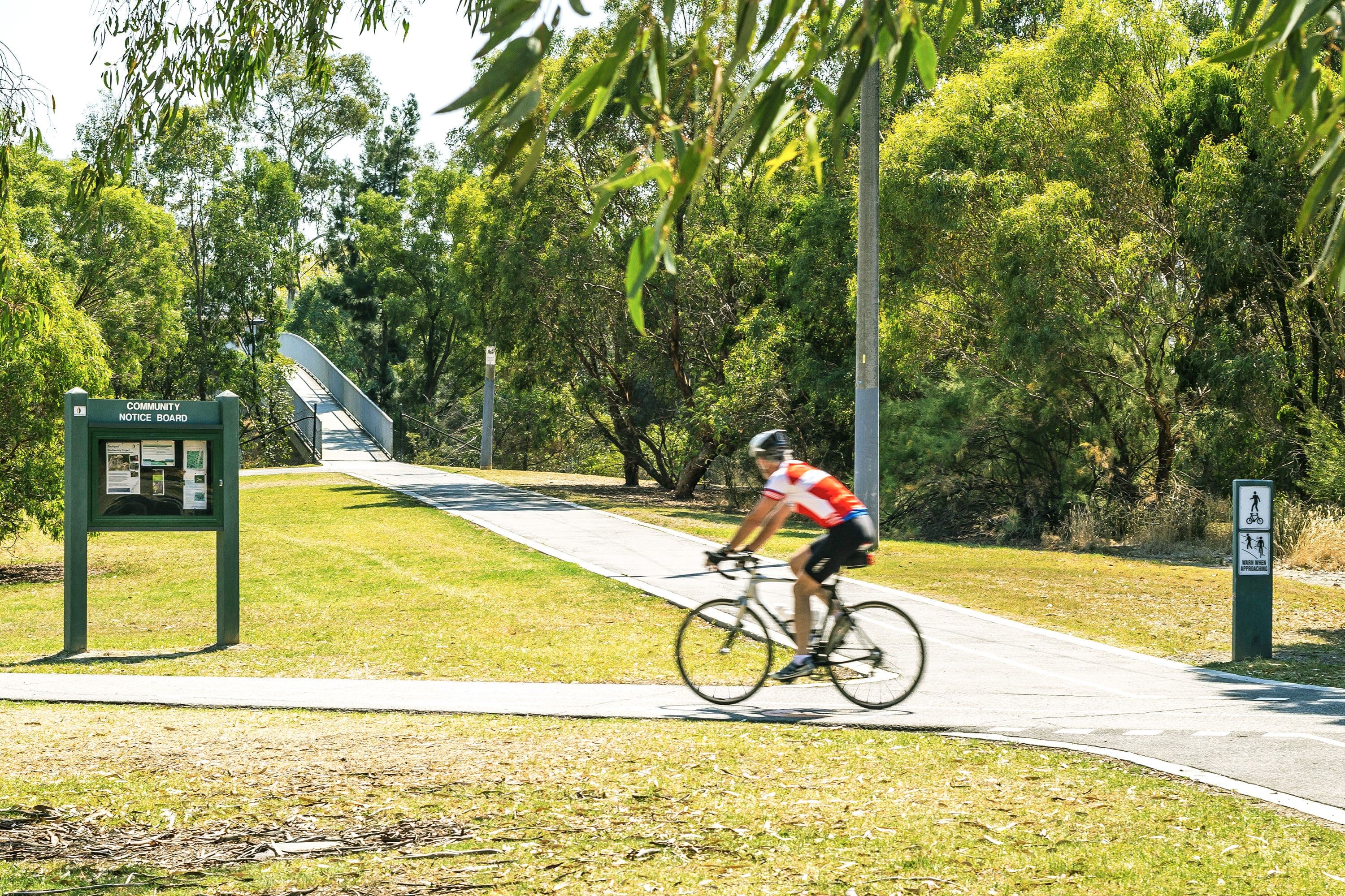 1 Morley Crescent, Box Hill North VIC 3129, Box Hill North - Thumbnail 5