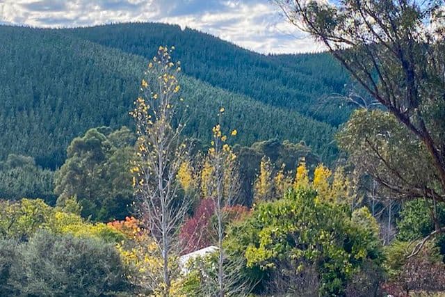 28 Hay Road, Southampton WA 6253, Southampton - Image 1