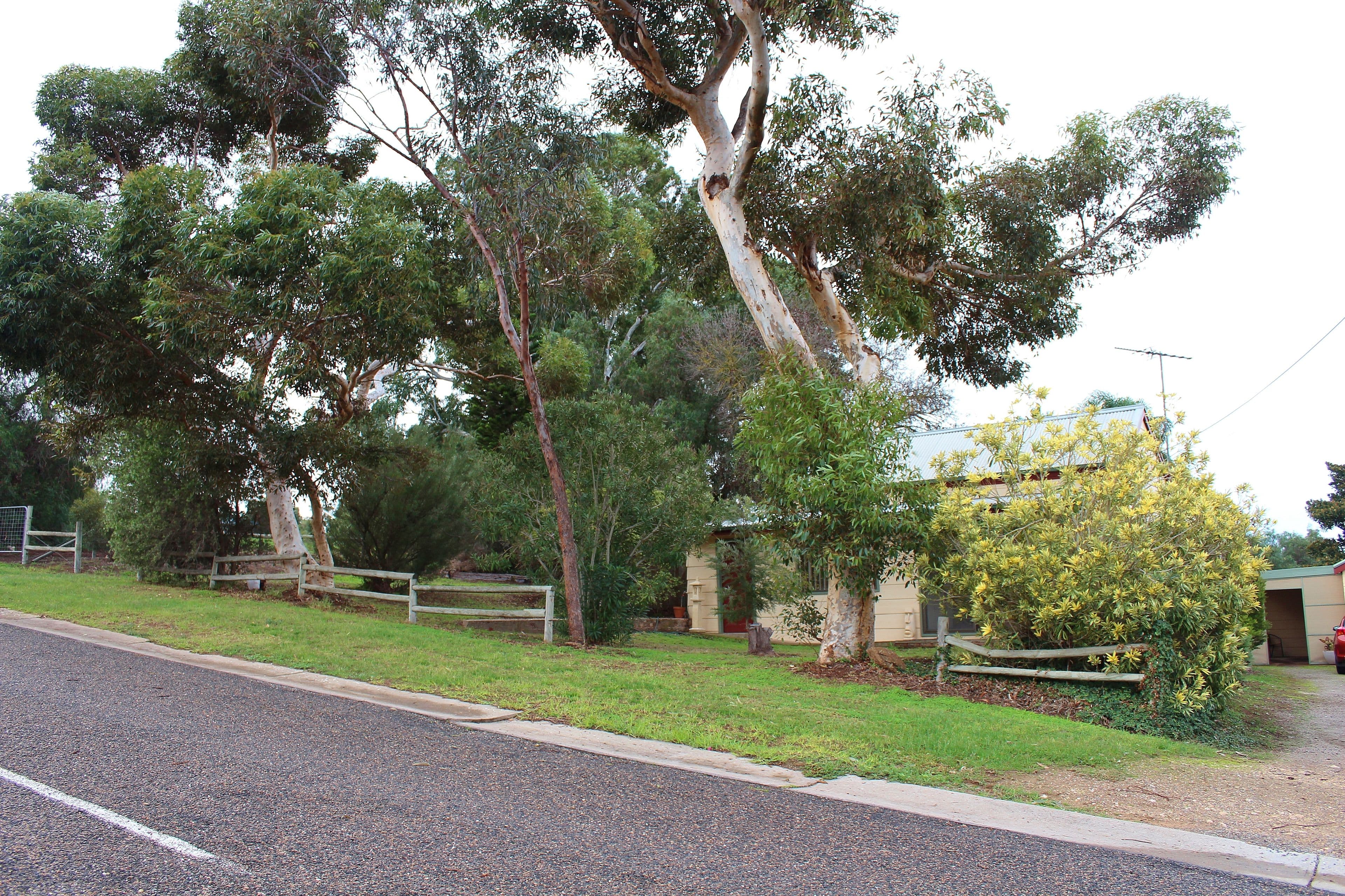 Lots 47 and 48 Williams Street, Mypolonga SA 5254, Mypolonga - Image 1