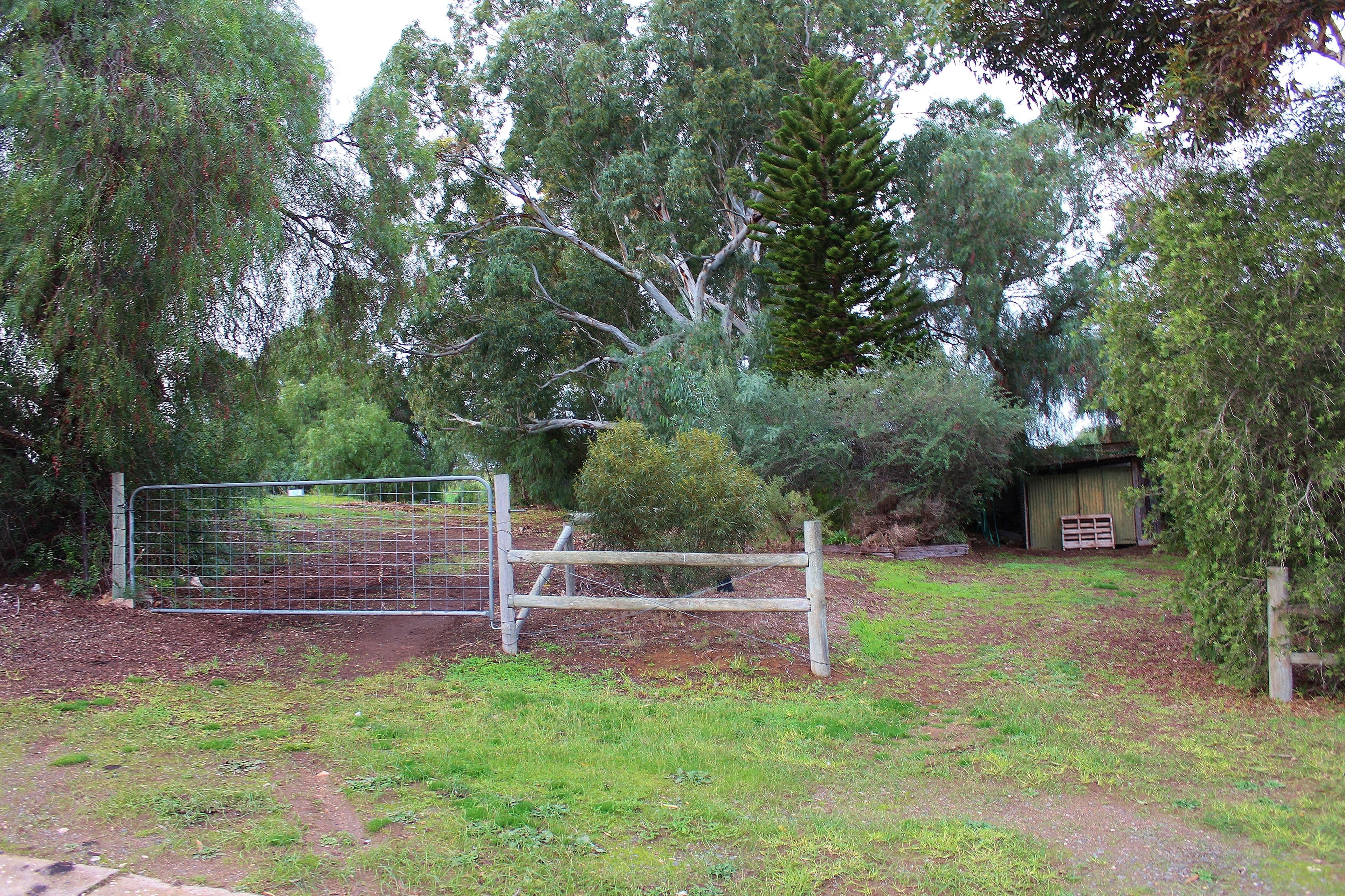 Lots 47 and 48 Williams Street, Mypolonga SA 5254, Mypolonga - Thumbnail 2