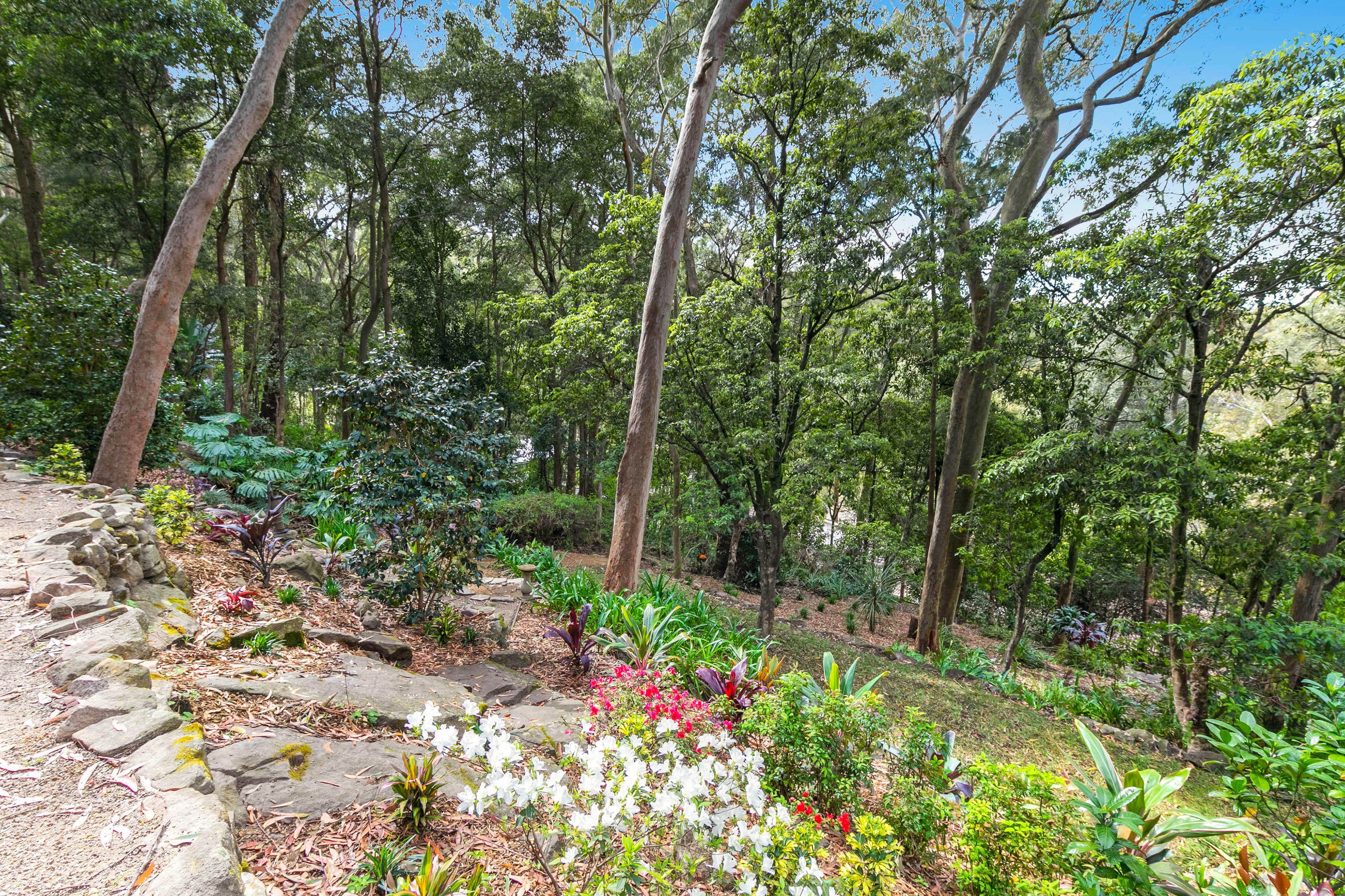 32 Campbell Drive, Wahroonga NSW 2076, Wahroonga - Thumbnail 8