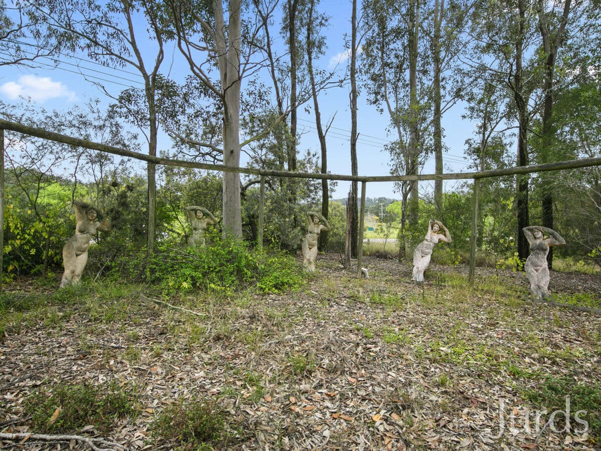 339 Talga Road, Lovedale, Lovedale - Image 1