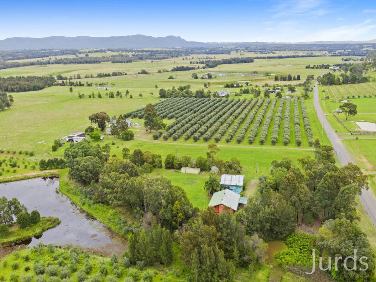 339 Talga Road, Lovedale, Lovedale - Thumbnail 3