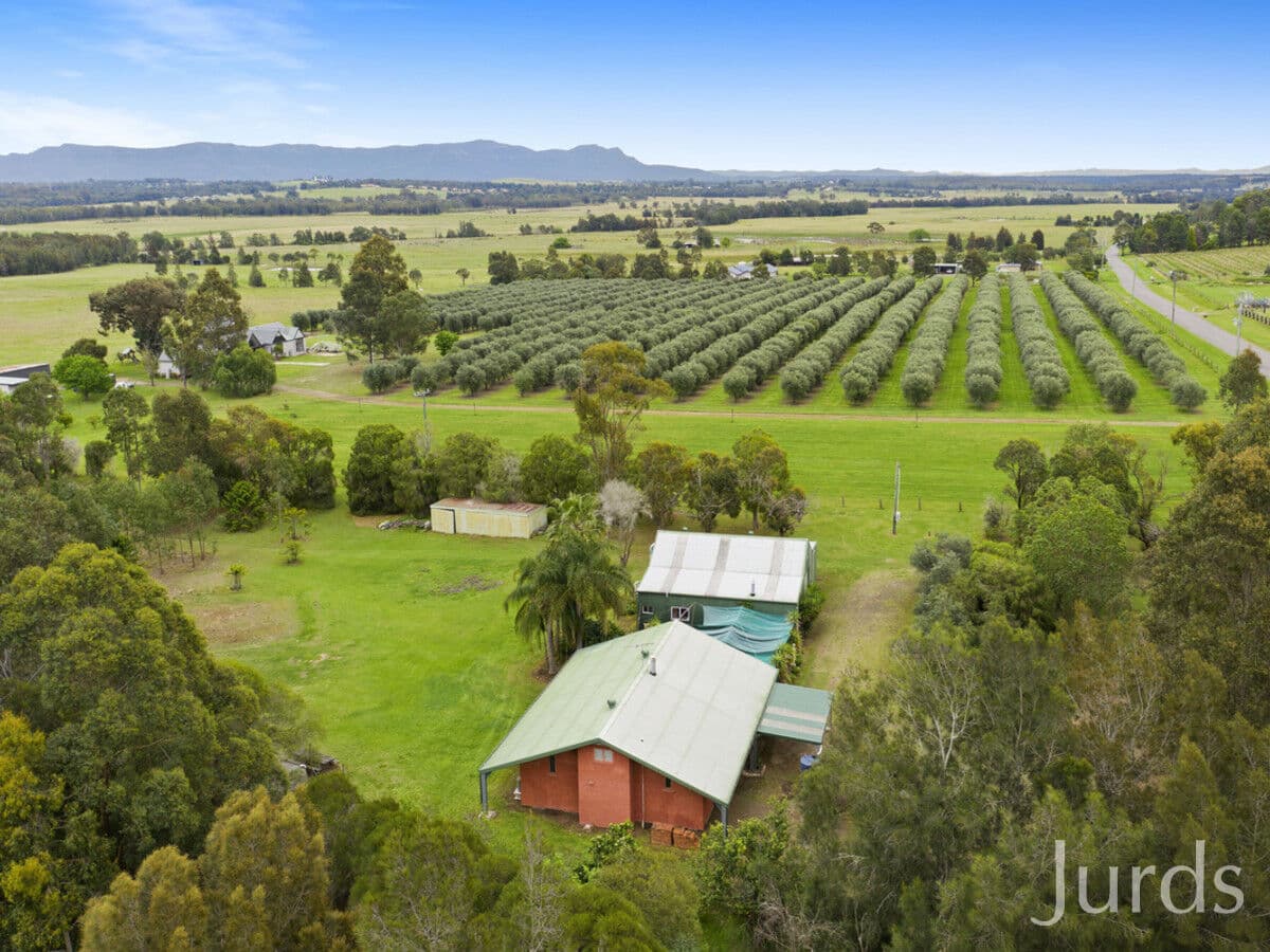 339 Talga Road, Lovedale, Lovedale - Thumbnail 5