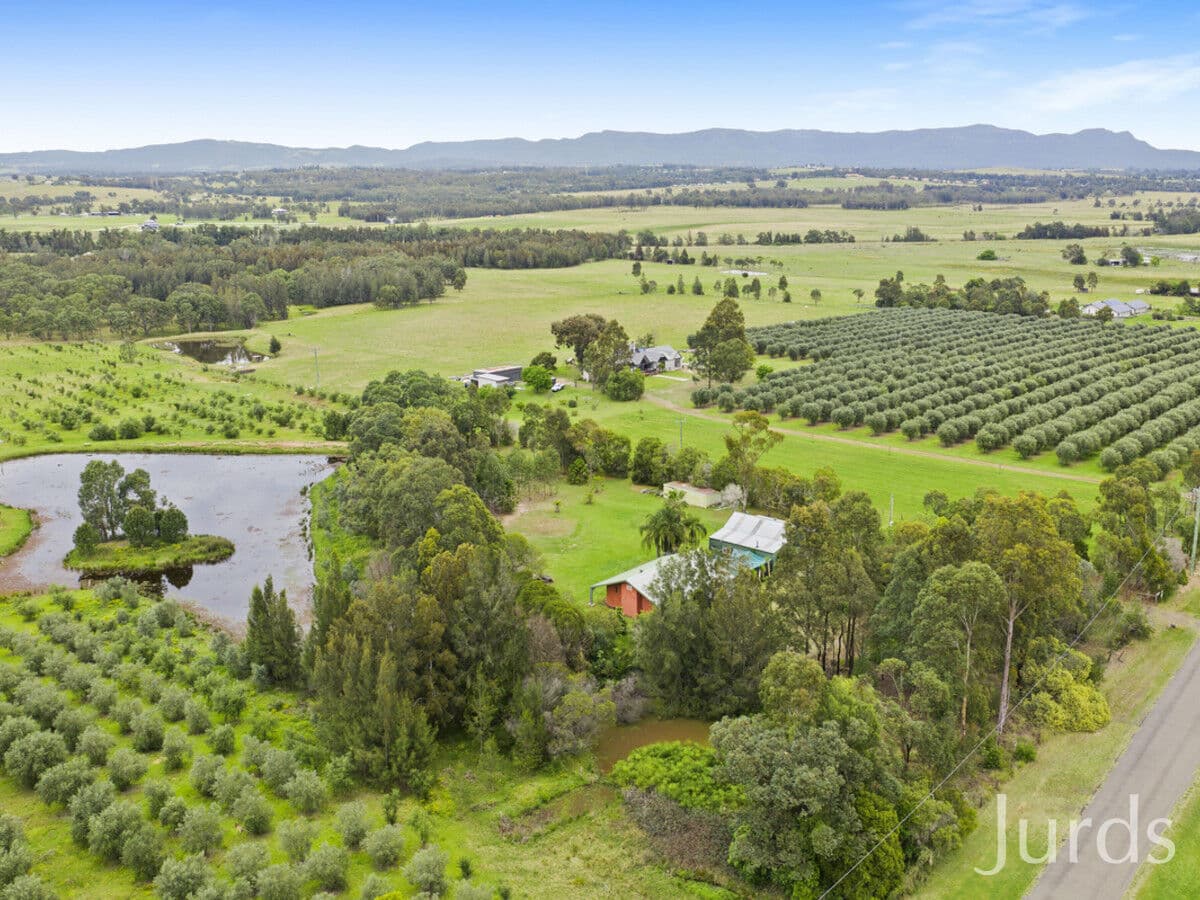339 Talga Road, Lovedale, Lovedale - Thumbnail 8