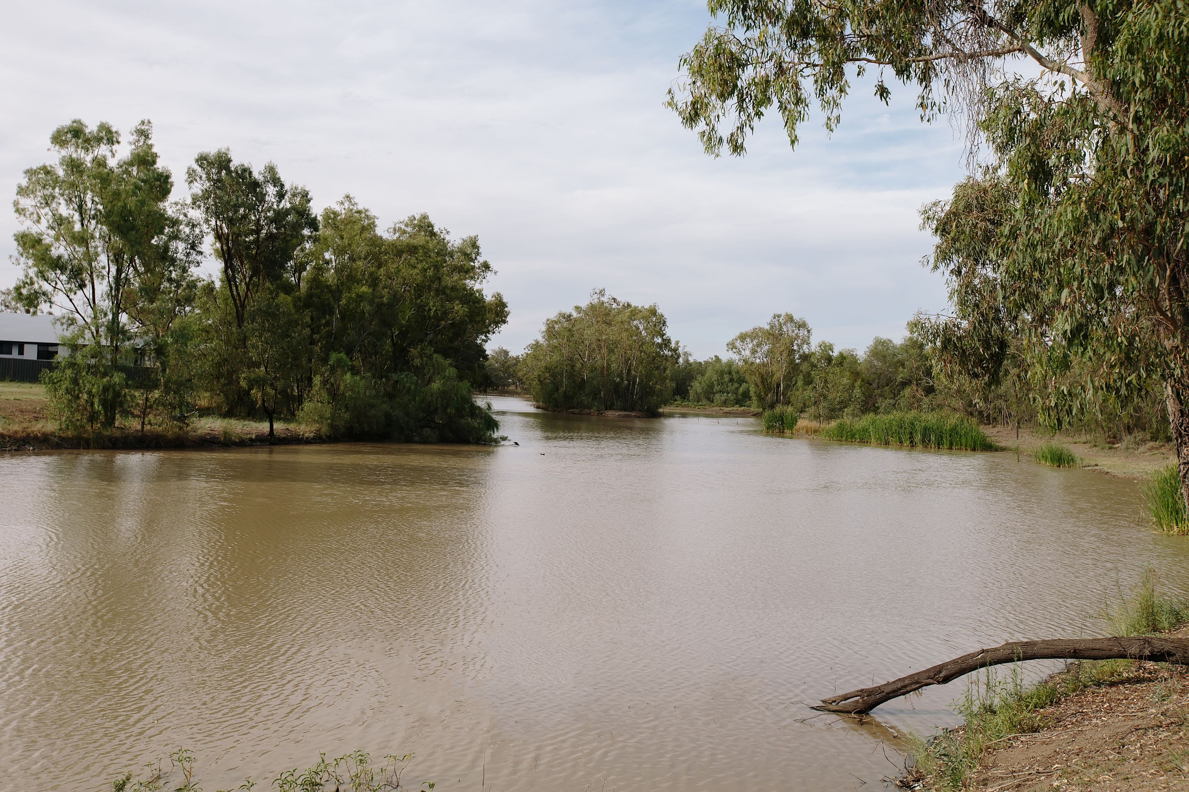 3 Paul Bradley, Goondiwindi QLD 4390, Goondiwindi - Thumbnail 7