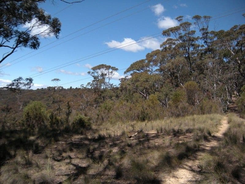 31-37  Salisbury Avenue, MOUNT VICTORIA NSW 2786, Mount Victoria - Thumbnail 5