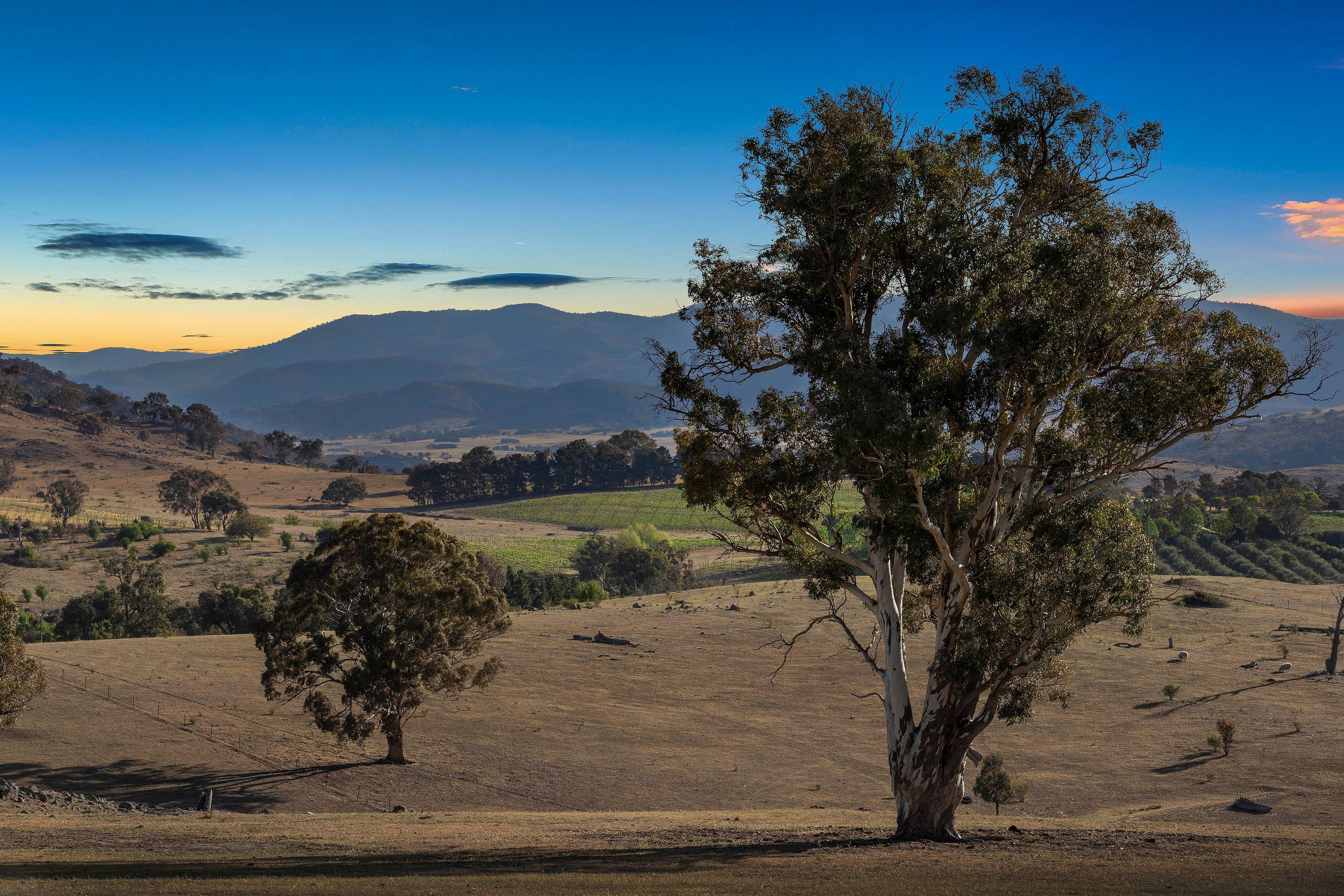 Lot 2 66 Brooklands Road, Wallaroo NSW 2618, Wallaroo - Thumbnail 2