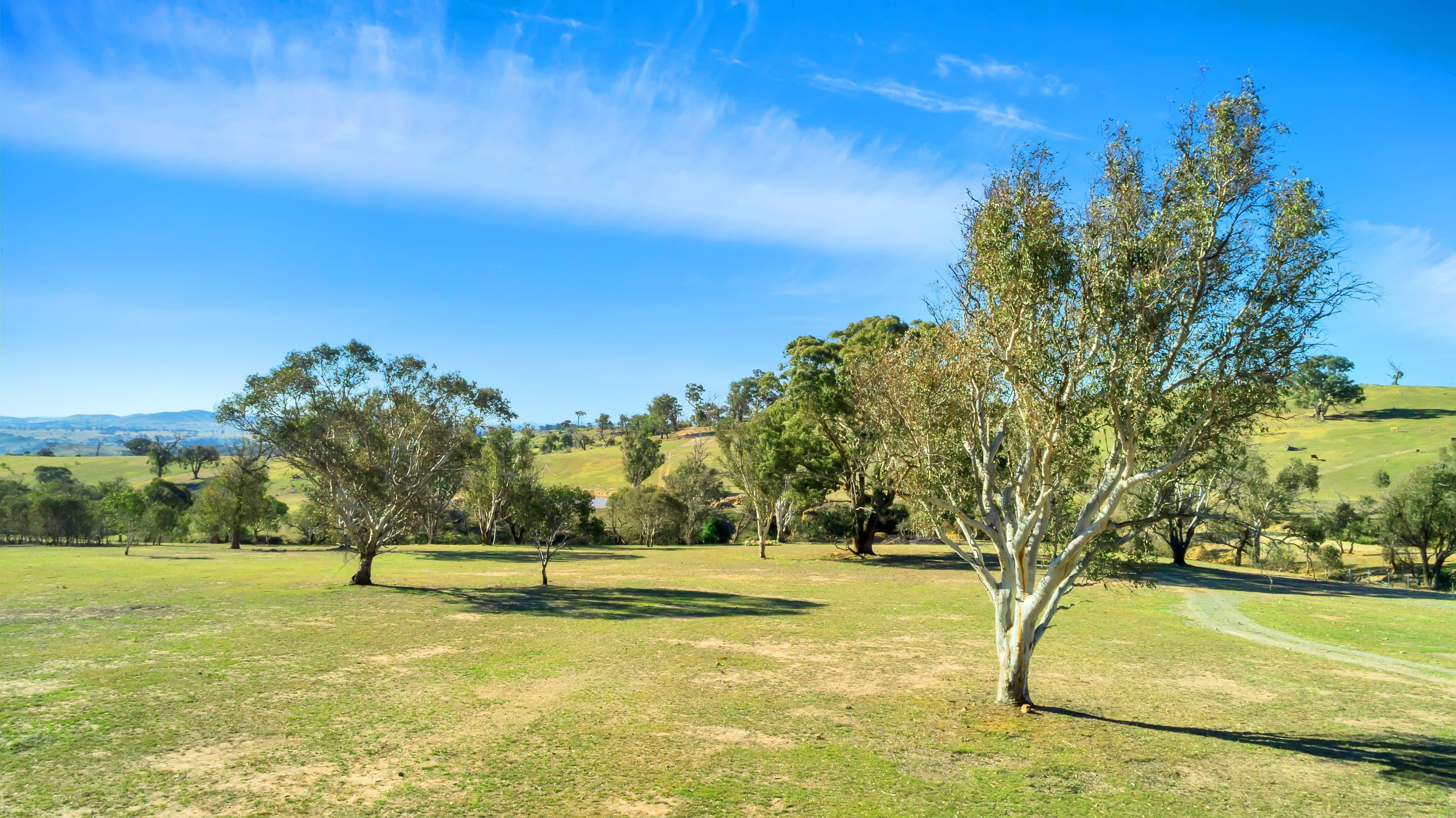 Lot 2 66 Brooklands Road, Wallaroo NSW 2618, Wallaroo - Thumbnail 3
