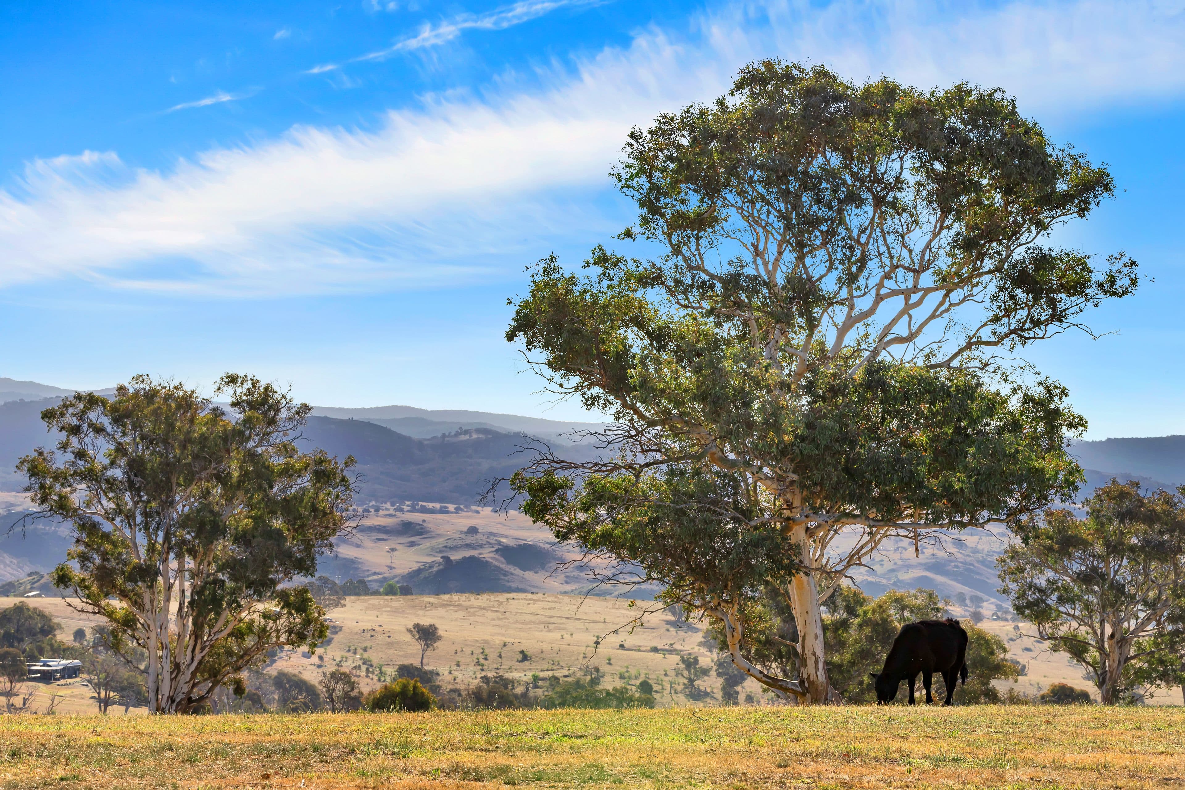 Lot 2 66 Brooklands Road, Wallaroo NSW 2618, Wallaroo - Thumbnail 4