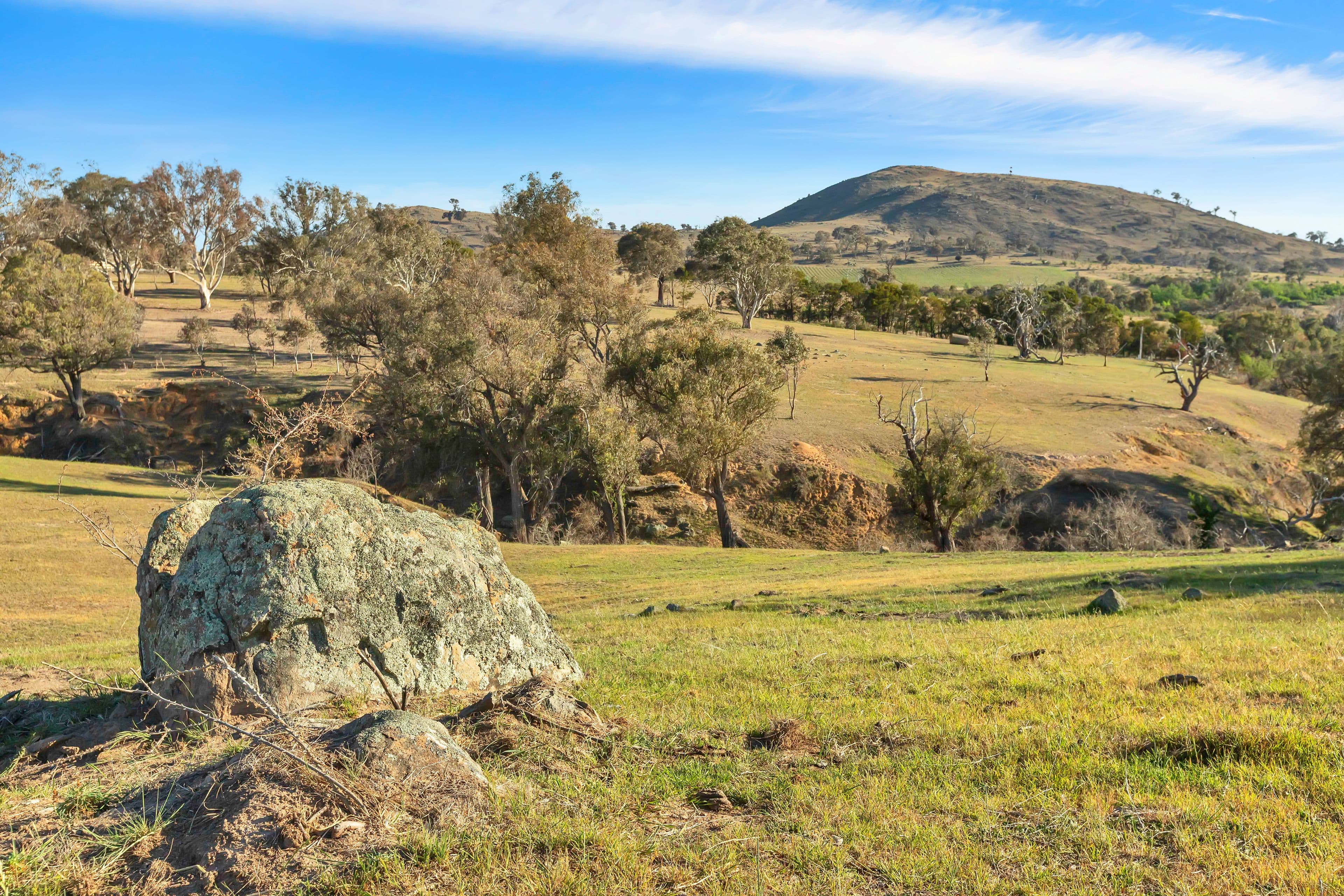 Lot 2 66 Brooklands Road, Wallaroo NSW 2618, Wallaroo - Thumbnail 8