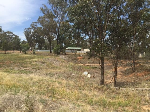 33 North Street, Bribbaree NSW 2594, Bribbaree - Thumbnail 5