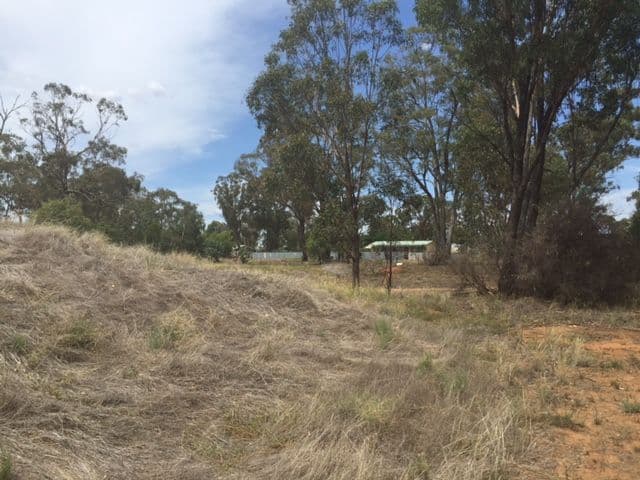 33 North Street, Bribbaree NSW 2594, Bribbaree - Thumbnail 6