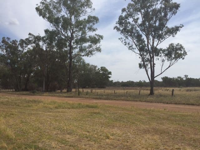 33 North Street, Bribbaree NSW 2594, Bribbaree - Thumbnail 8