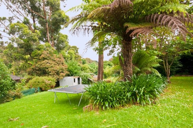 MONBULK VIC 3793, Monbulk - Thumbnail 7