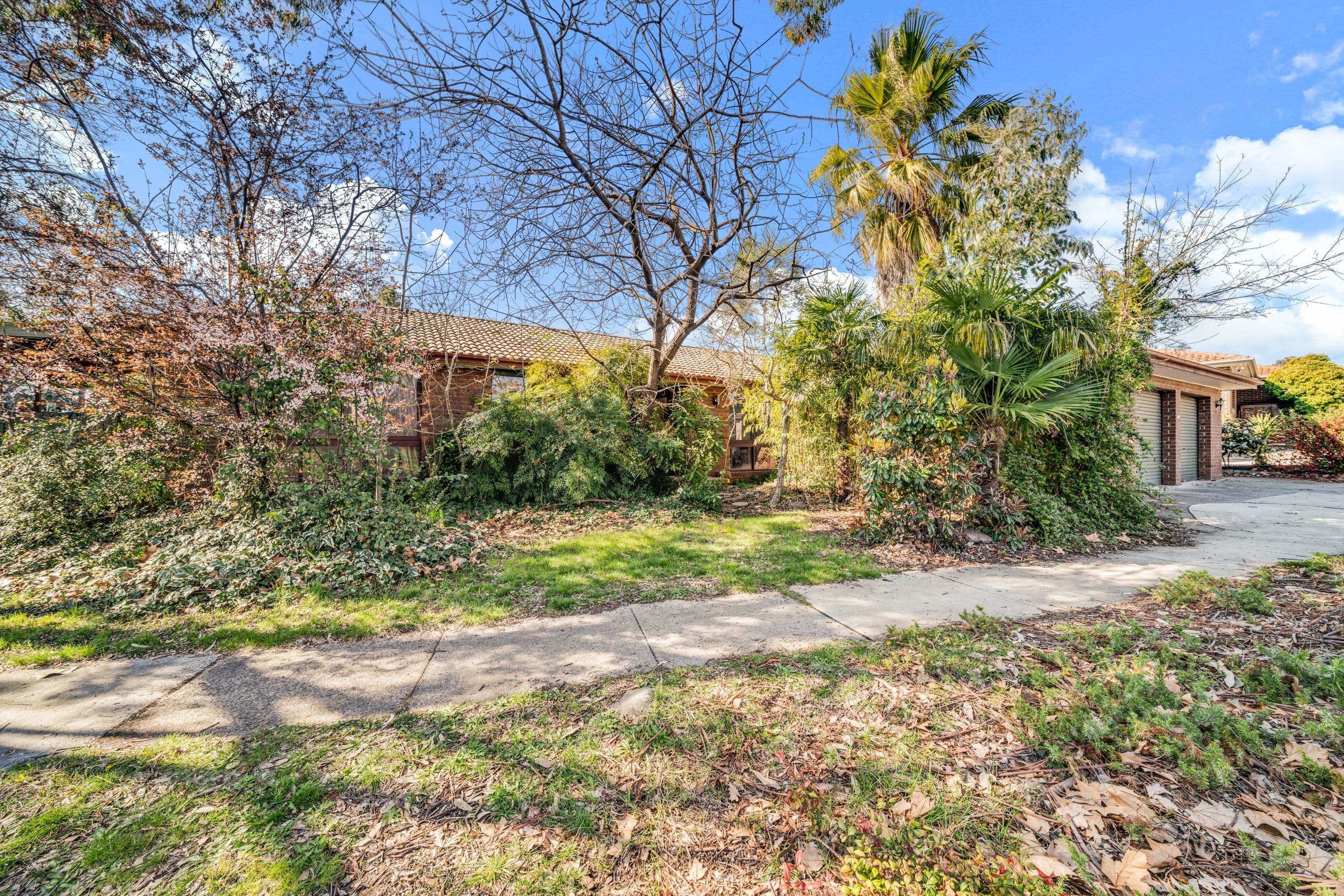 161 Osburn Drive, Macgregor ACT 2615, Macgregor - Thumbnail 4