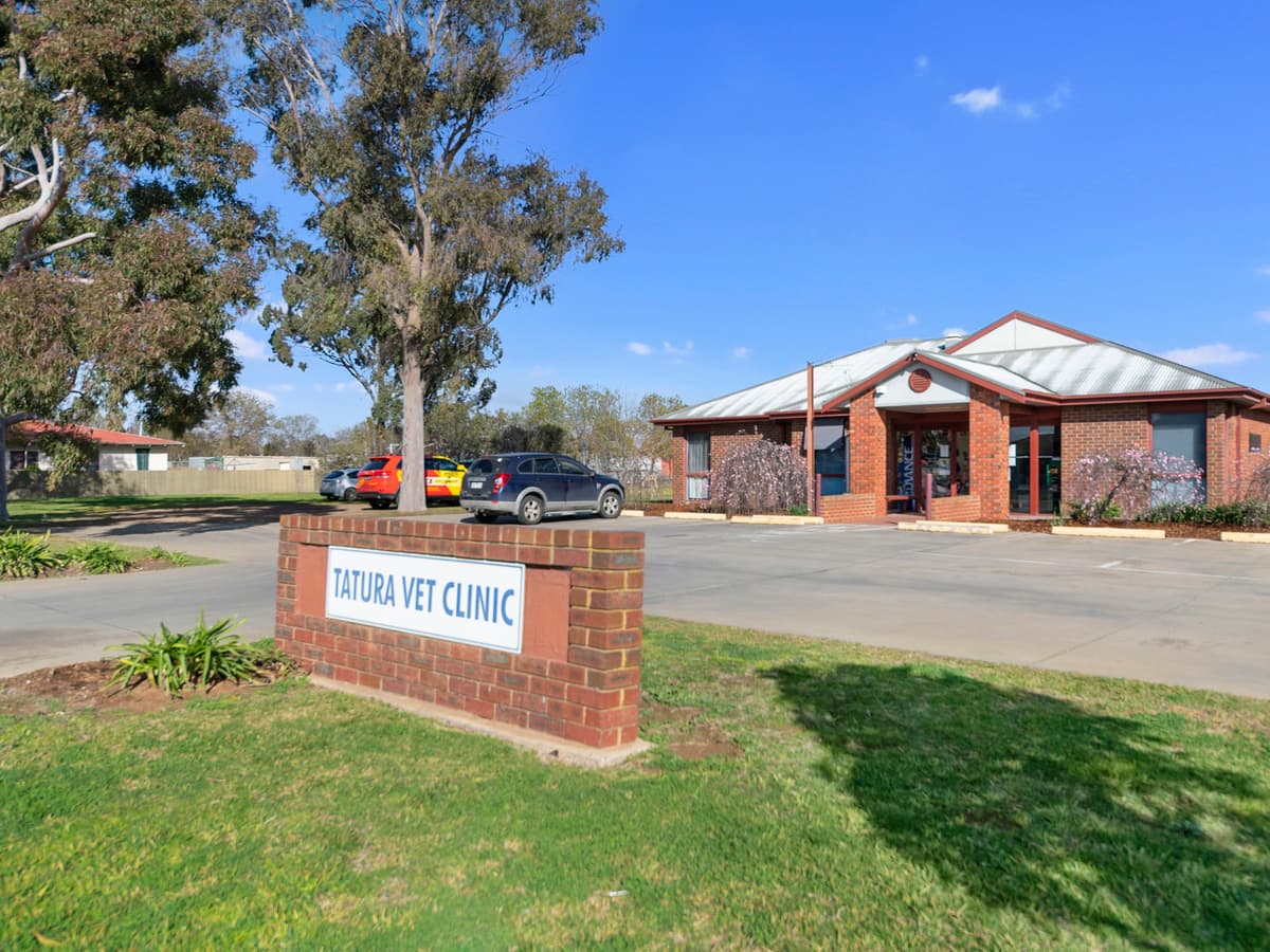 27 - 29 Ross... Street, Tatura, Tatura - Image 1