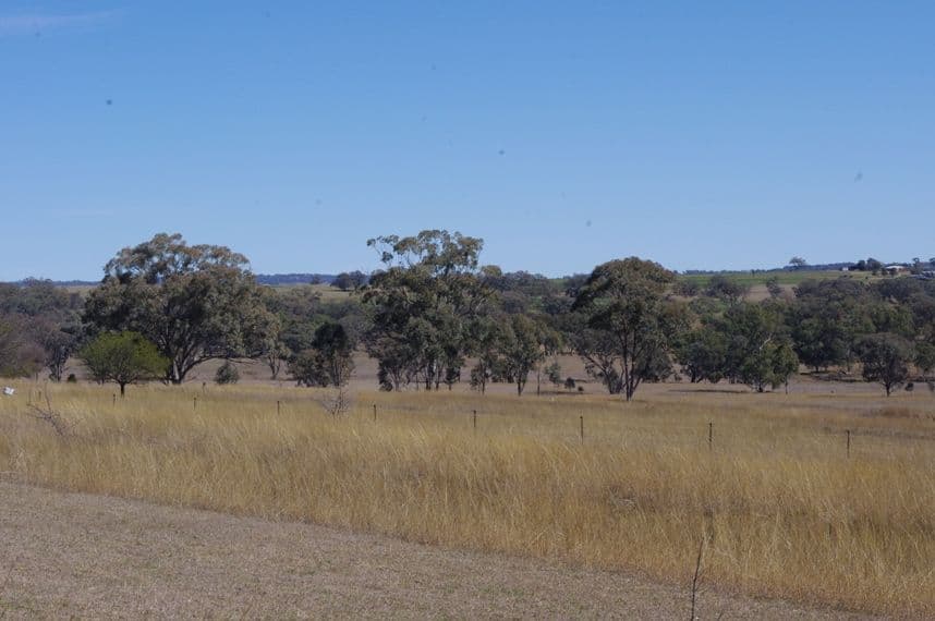  422 Old Bundarra Road, INVERELL NSW 2360, Inverell - Thumbnail 4