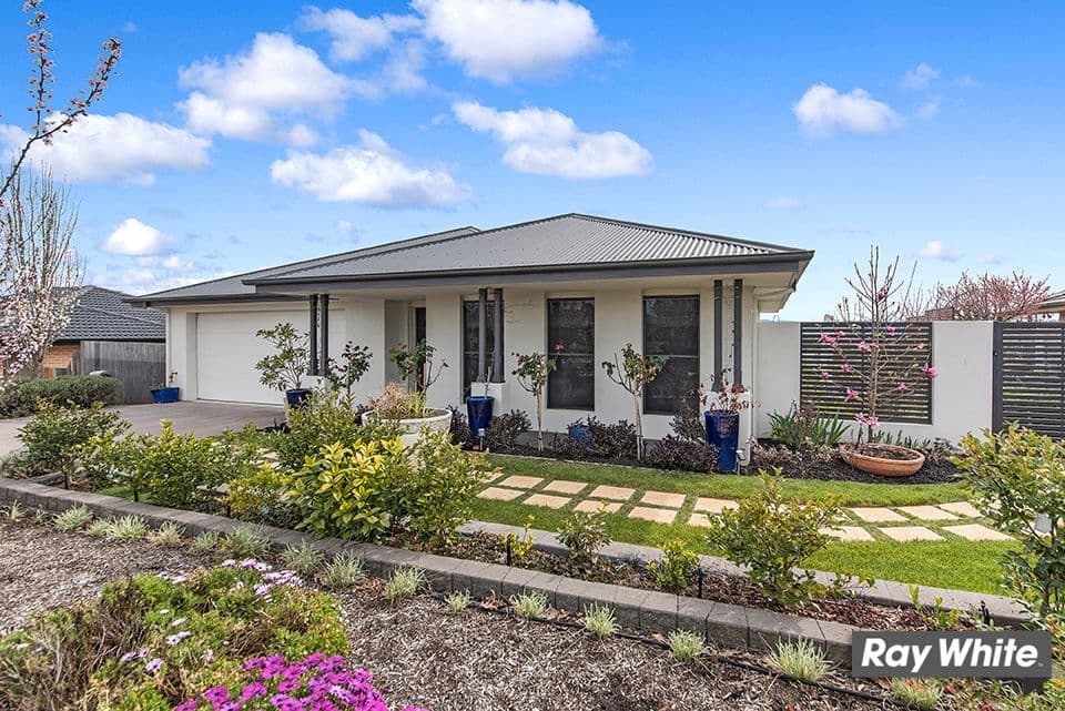 43 Macfarlane Burnet Avenue, Macgregor ACT 2615, Macgregor - Image 1