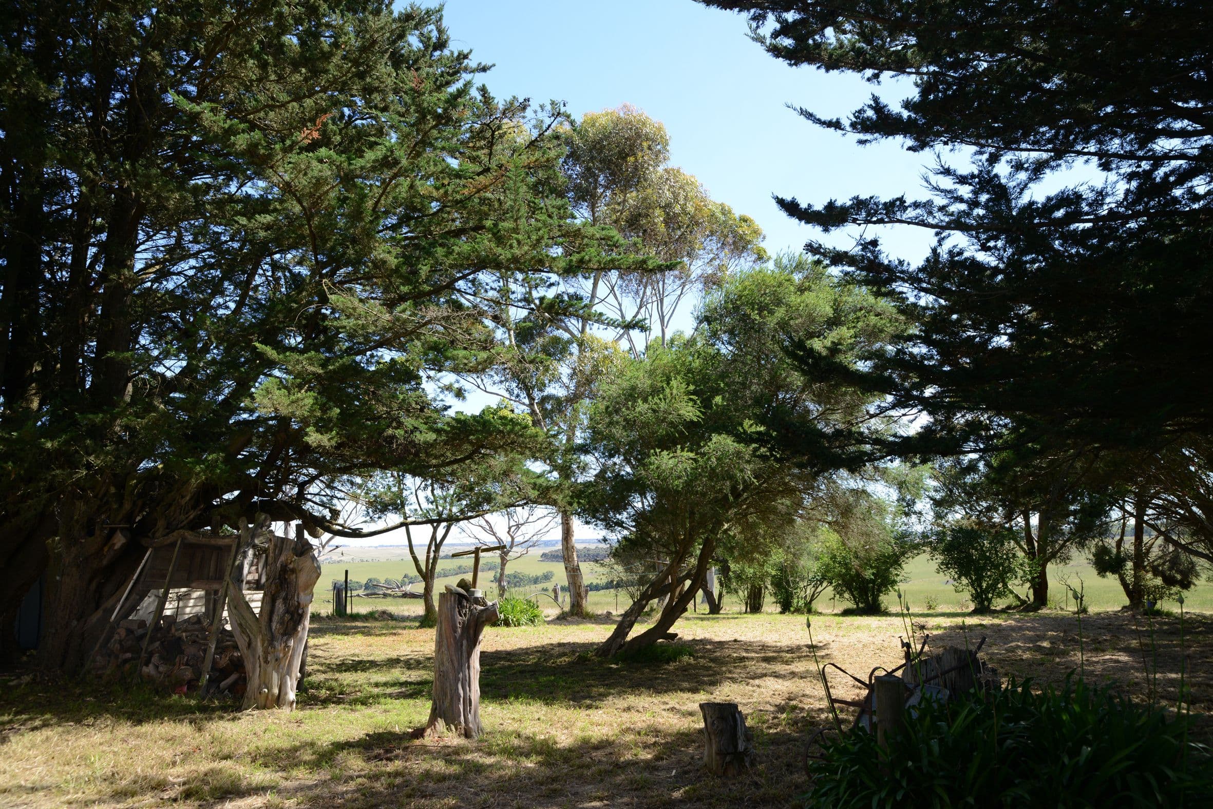 4974 Glenelg Highway, Casterton VIC 3311, Casterton - Thumbnail 4