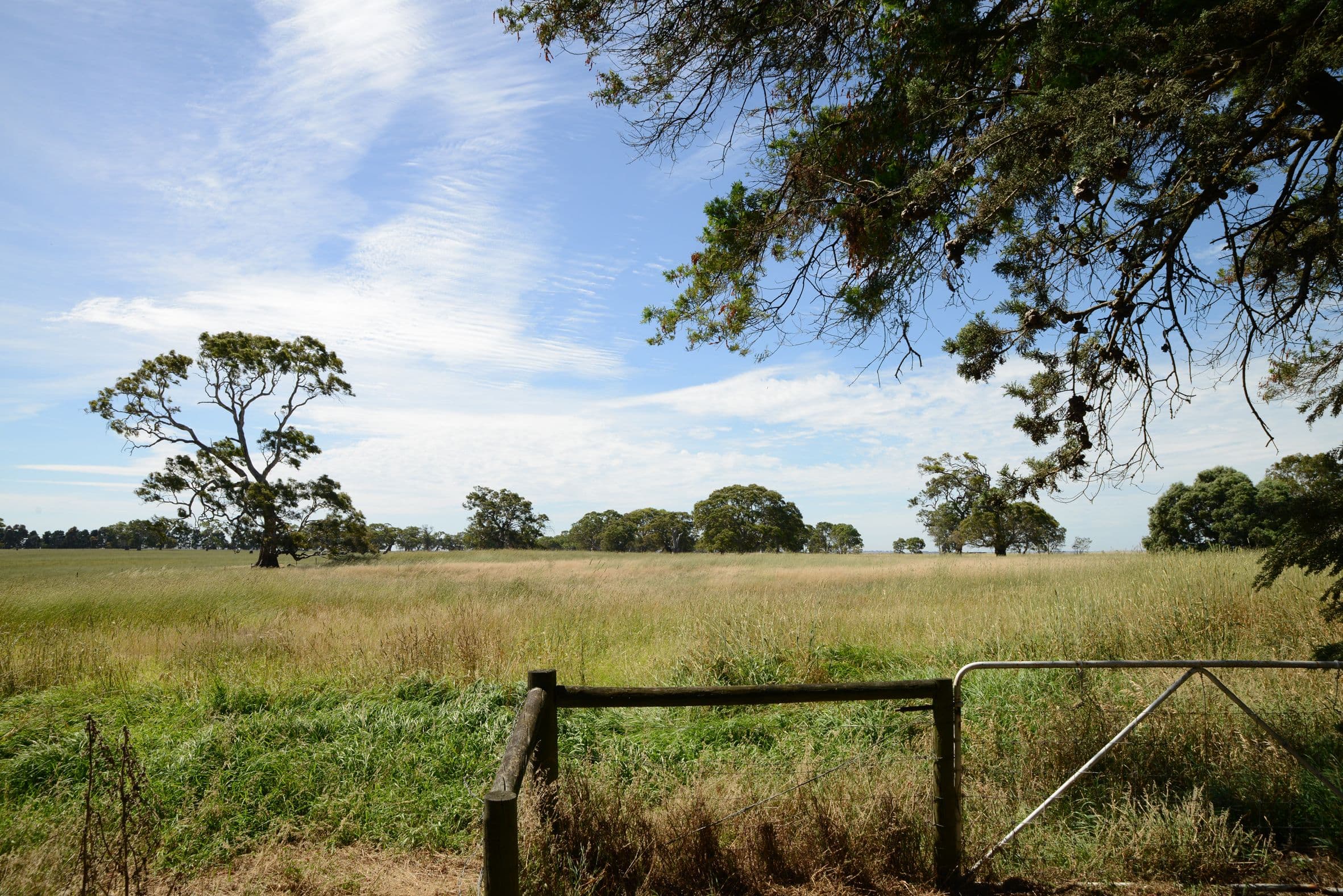 4974 Glenelg Highway, Casterton VIC 3311, Casterton - Thumbnail 5