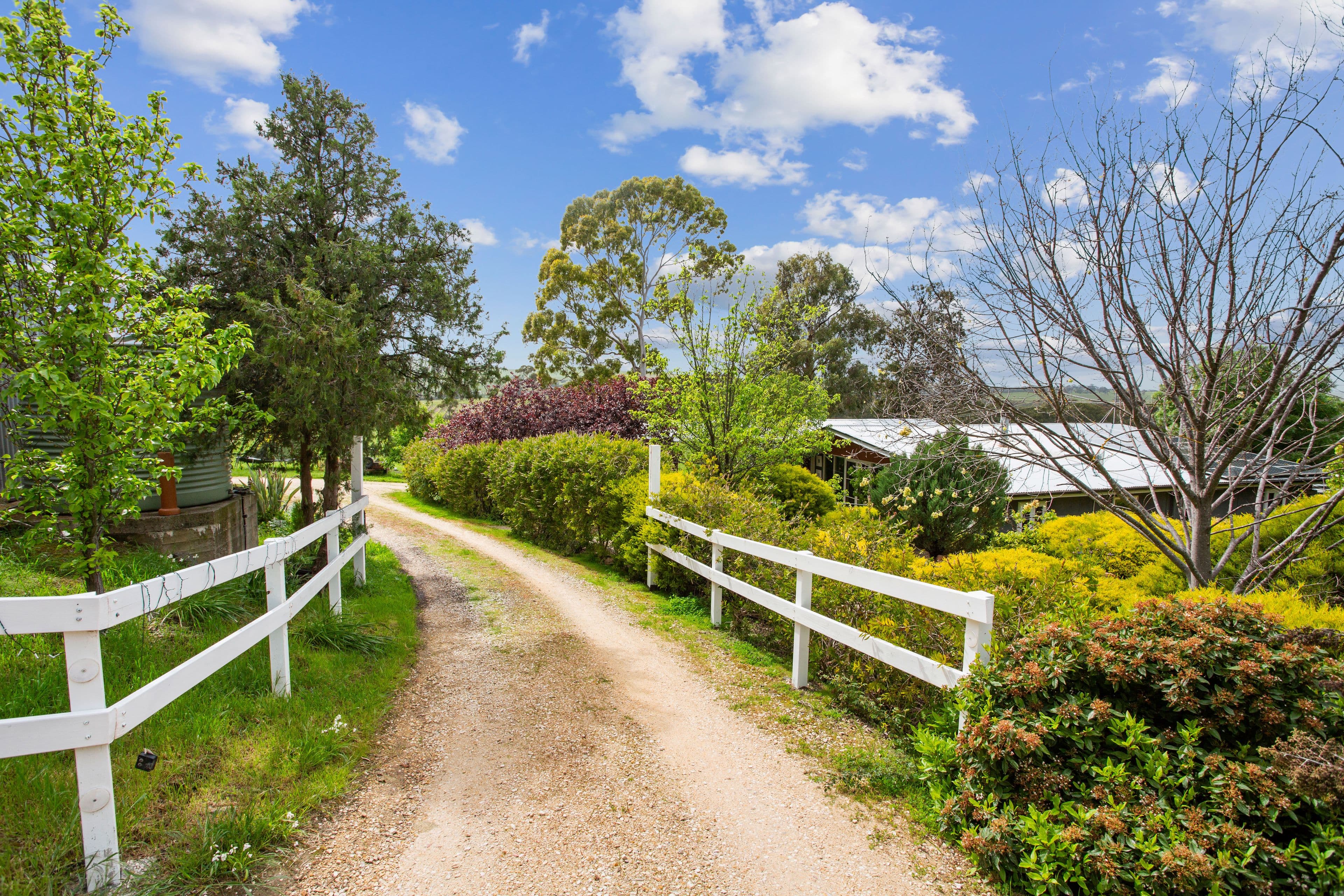 104 Sollys Hill Road, Watervale SA 5452, Watervale - Thumbnail 2