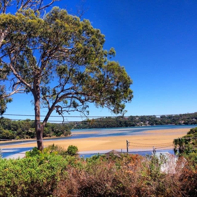 56 Pacific Crescent, Maianbar NSW 2230, Maianbar - Thumbnail 3