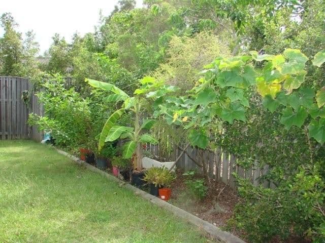 28 Blackwattle Circuit, ARUNDEL QLD 4214, Arundel - Thumbnail 6