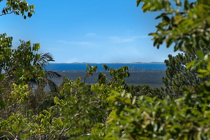 14 Ballinger Road, Buderim QLD 4556, Buderim - Thumbnail 2