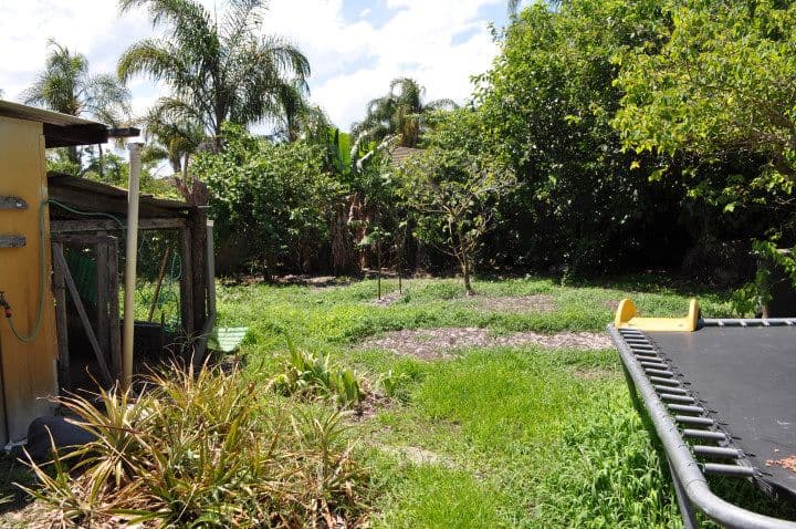 43 Townsend Street, FORSTER NSW 2428, Forster - Thumbnail 4