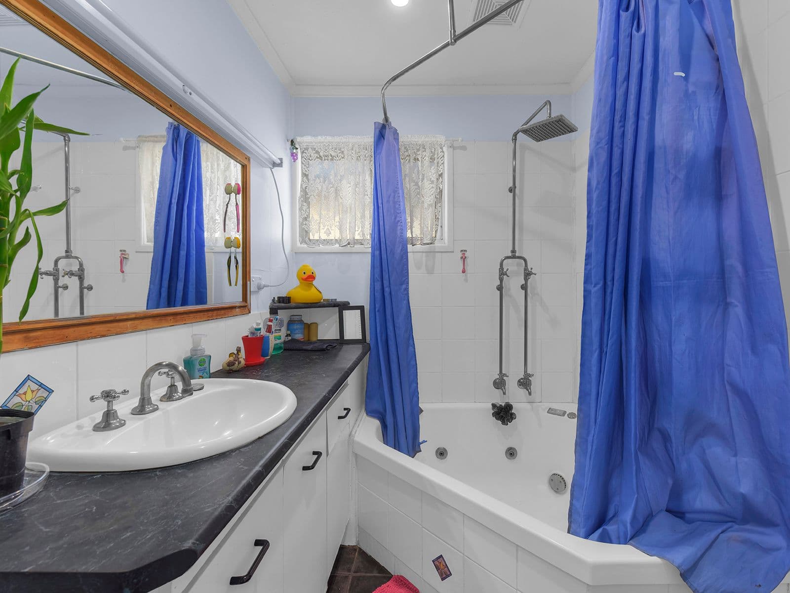 121 Jutland Street, Oxley QLD 4075, Oxley - Thumbnail 8