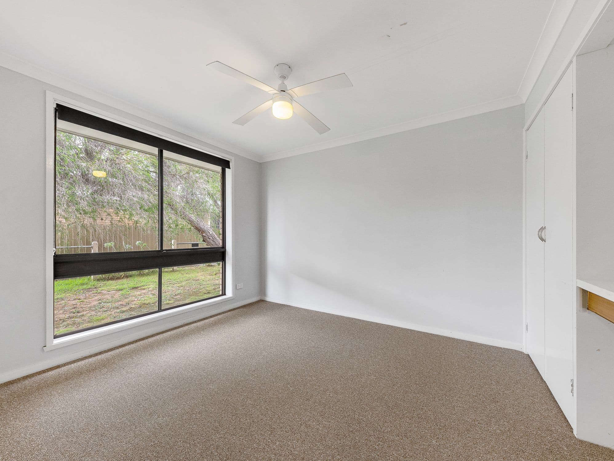 621 Prune Street, Lavington NSW 2641, Lavington - Thumbnail 5