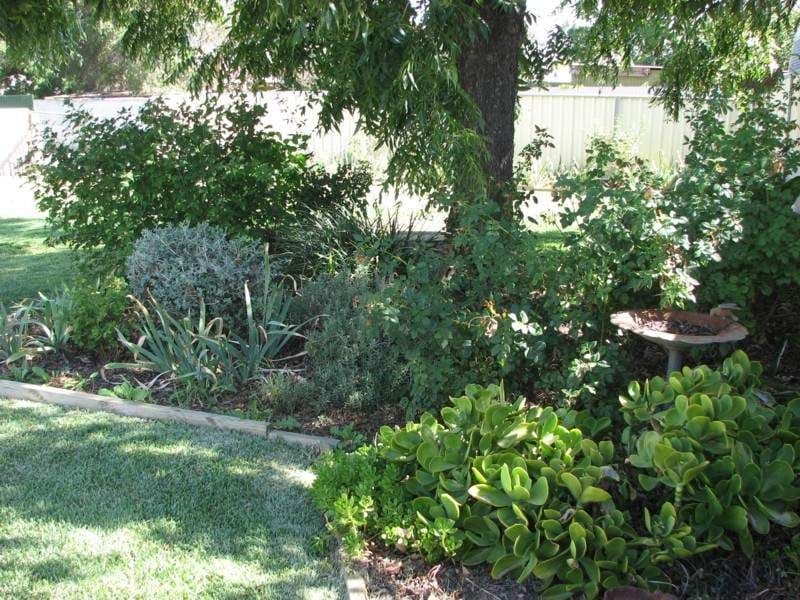 28 Grenfell, FORBES NSW 2871, Forbes - Thumbnail 3