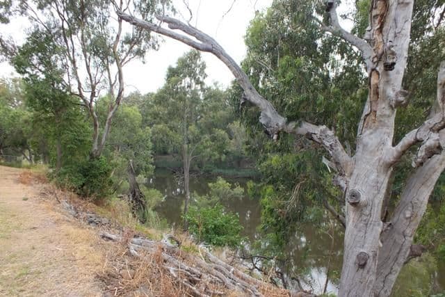 21 Raymond, Goondiwindi QLD 4390, Goondiwindi - Thumbnail 3